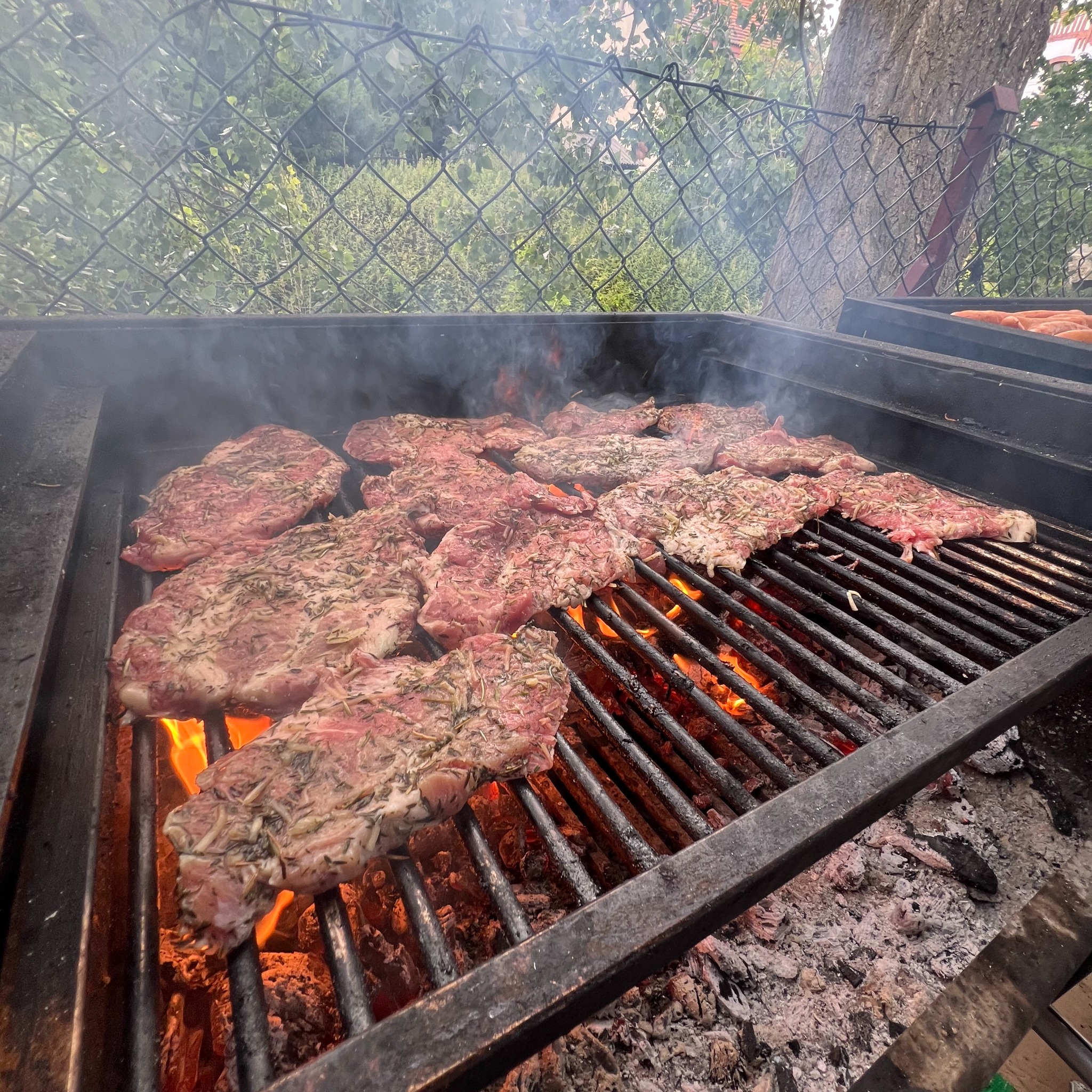 Grillowane, przyprawione steki na ruszcie z dymem i płomieniami, w tle siatka ogrodzeniowa i zieleń. Przygotowywanie posiłku na świeżym powietrzu.