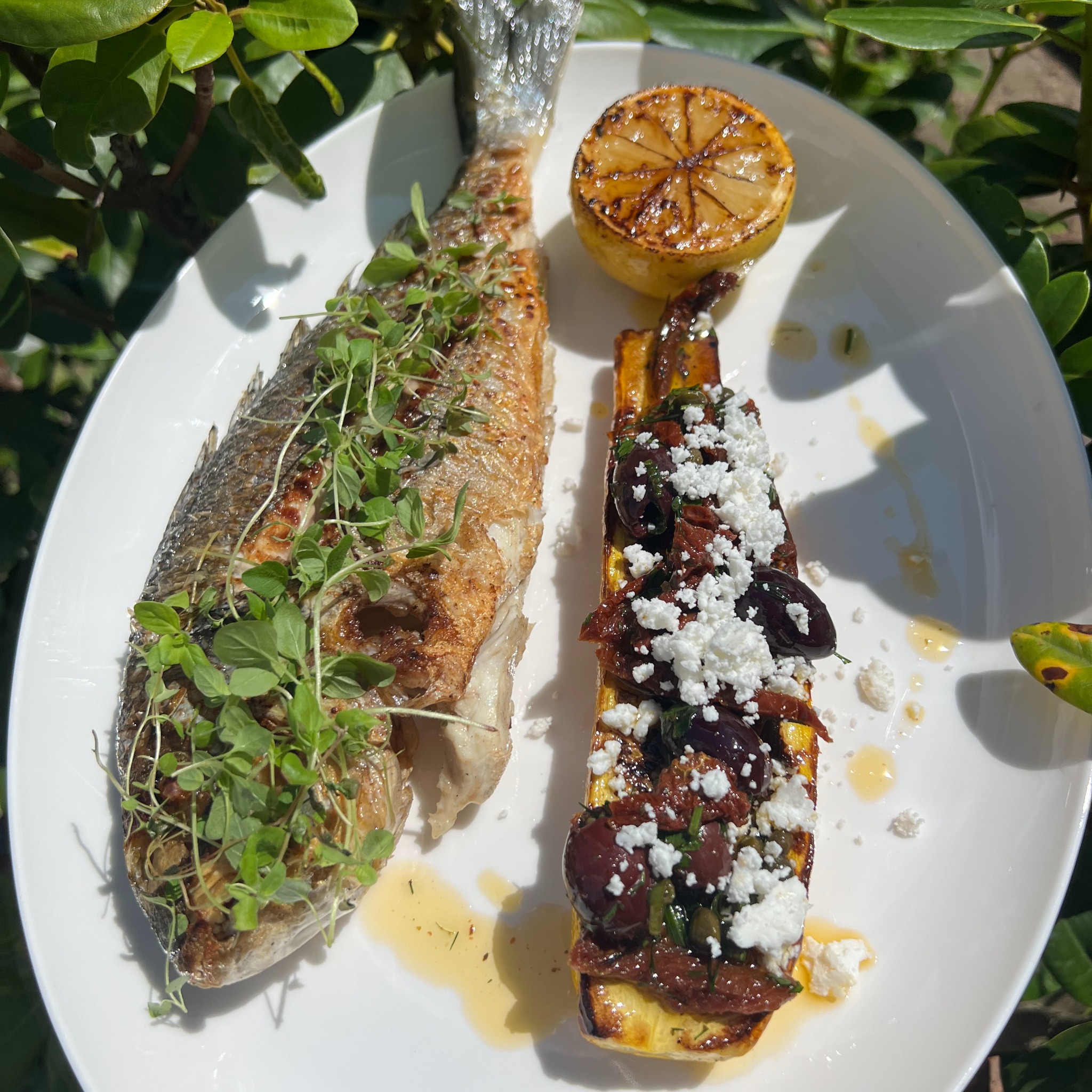 Elegancko podana dorada z ziołami, grillowaną cytryną i zapiekanką warzywną z fetą na białym talerzu, w plenerze.