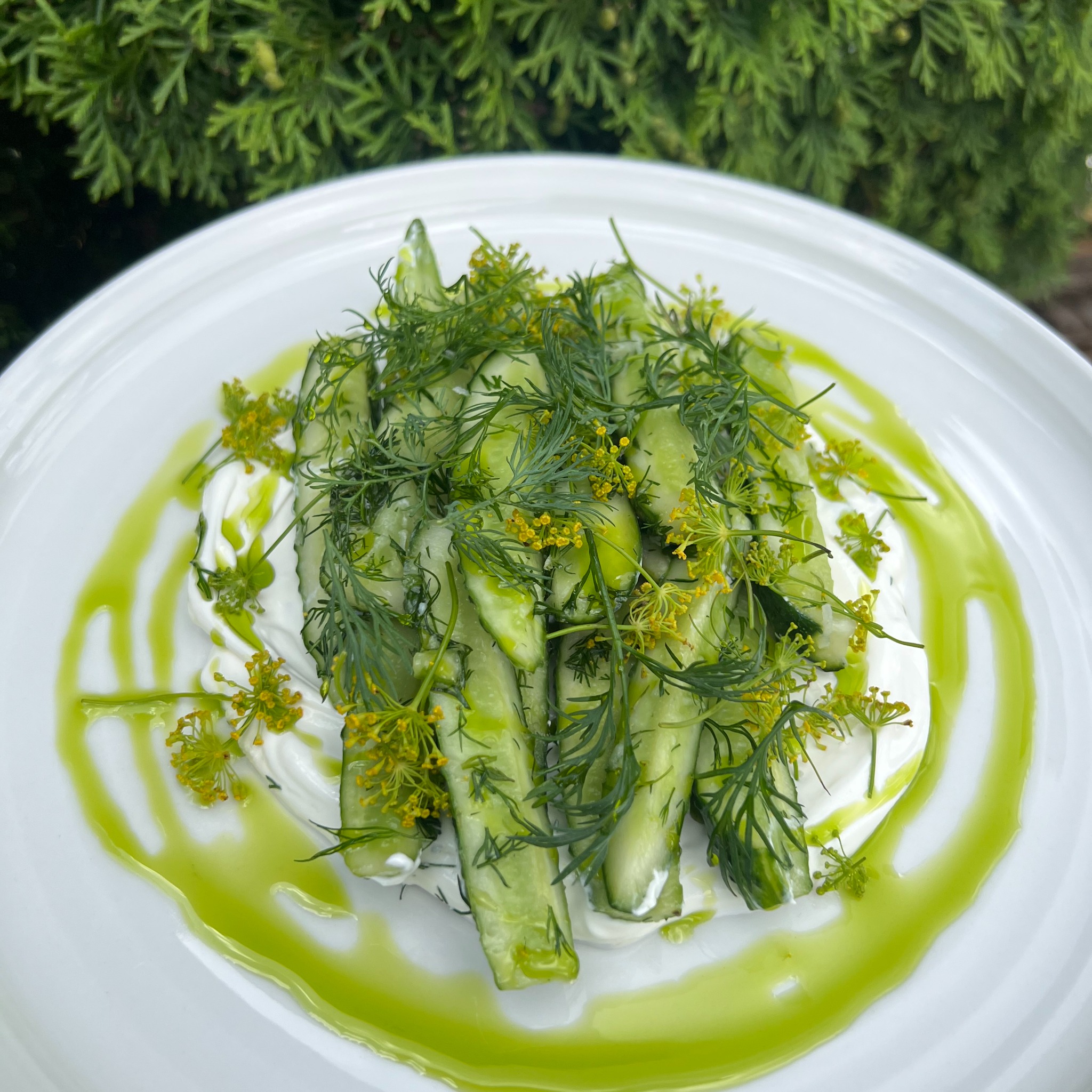 Delikatna kompozycja: plasterki ogórka na kremowym sosie, udekorowane świeżym koperkiem i zielonym sosem, podane na białym talerzu. Elegancka prezentacja dania.