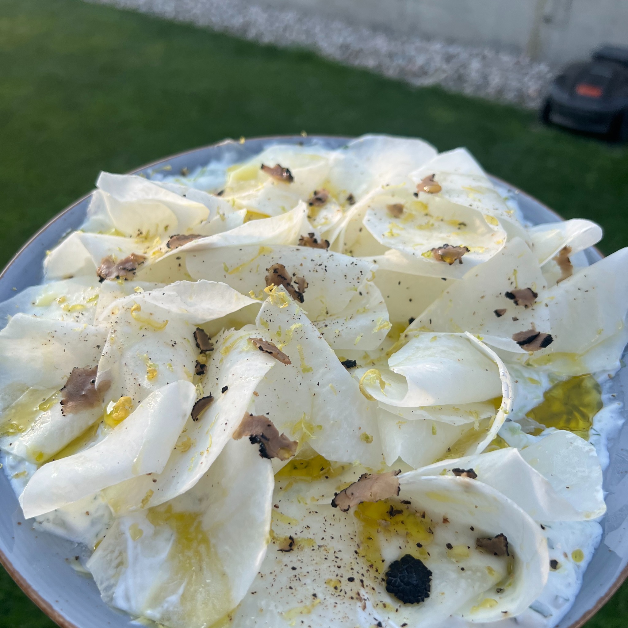 Elegancka sałatka z endywii, trufli i oliwy na talerzu, tło: trawnik z robotem koszącym. Wyjątkowa kompozycja kulinarna.