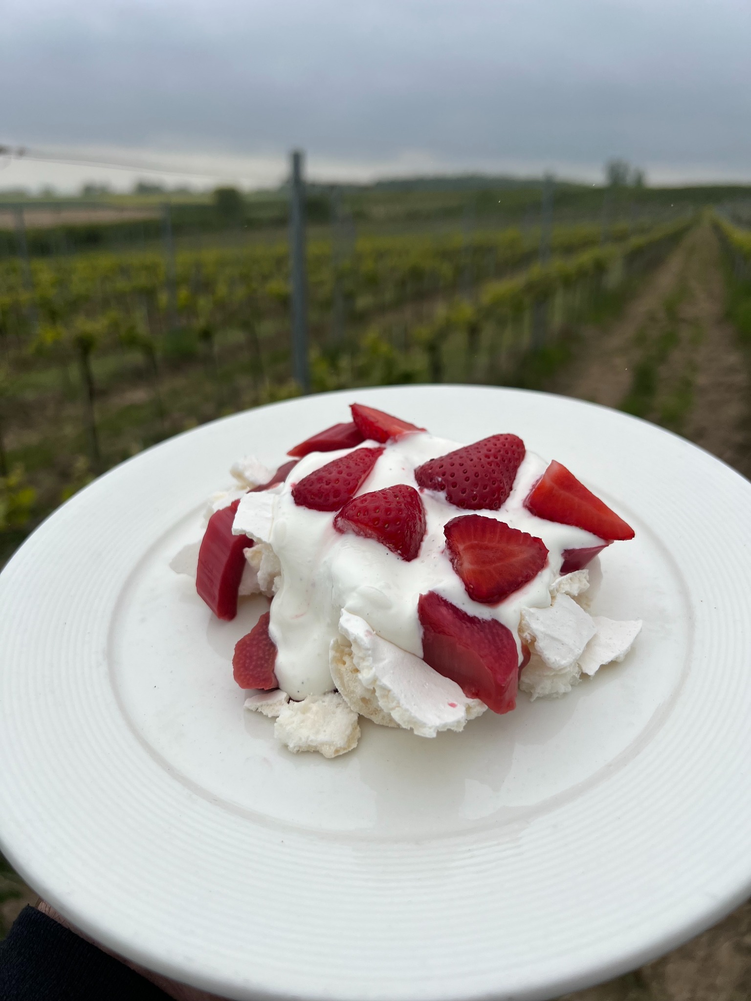 Delikatna beza Pavlova z kremem i świeżymi truskawkami na białym talerzu, na tle zielonych winnic w pochmurny dzień. Elegancki deser.