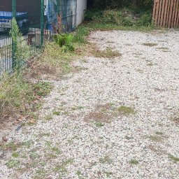 1. PIĘKNE WŁOSY U TATIANY TETIANA KOZAK 2. WARZYWNIACZEK U NAZARA TETIANA KOZAK - Zarośnięty, żwirowy podjazd z chwastami przy metalowym ogrodzeniu i budynku. Widoczne ślady po liściach i gałęziach. Zaniedbany teren.