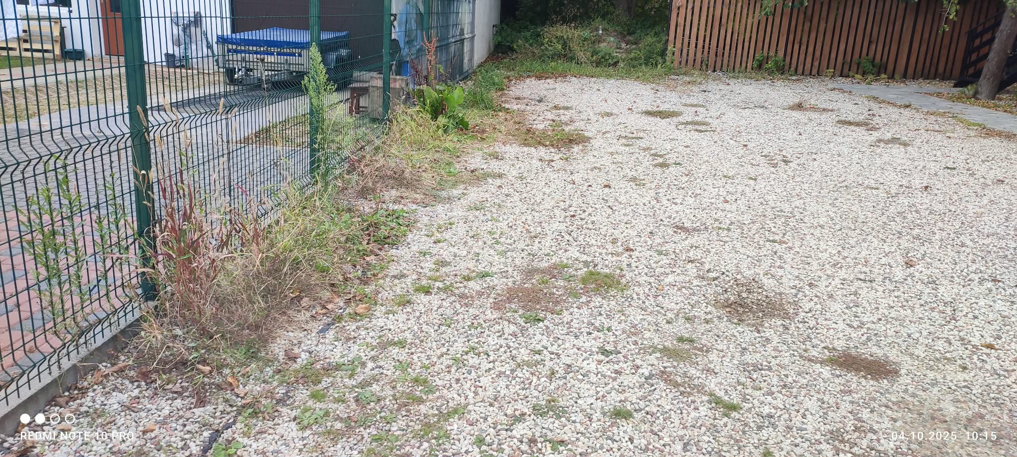 Zarośnięty, żwirowy podjazd z chwastami przy metalowym ogrodzeniu i budynku. Widoczne ślady po liściach i gałęziach. Zaniedbany teren.