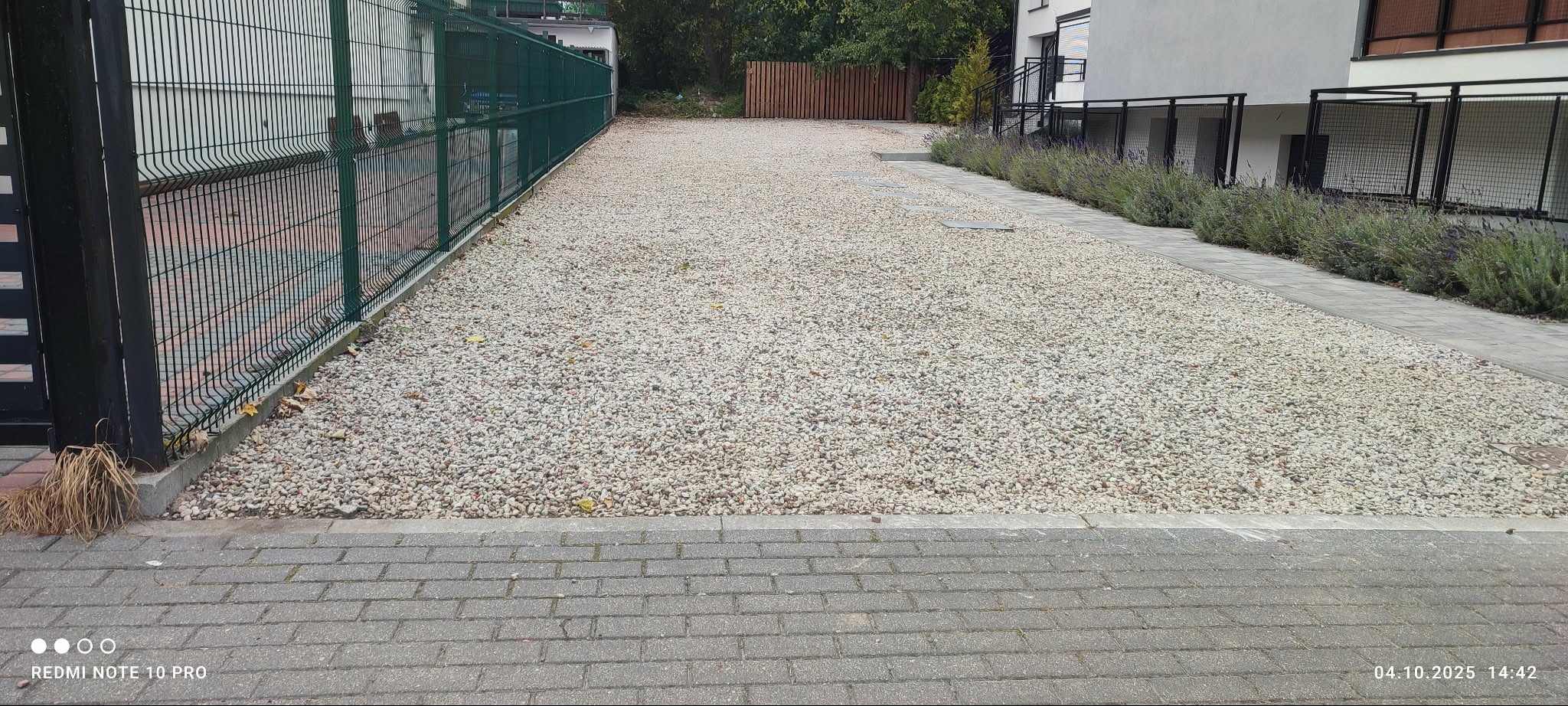 Wysypany białym gresem teren posesji z zielonym ogrodzeniem panelowym i kostką brukową. Widoczne nasadzenia lawendy wzdłuż ścieżki.