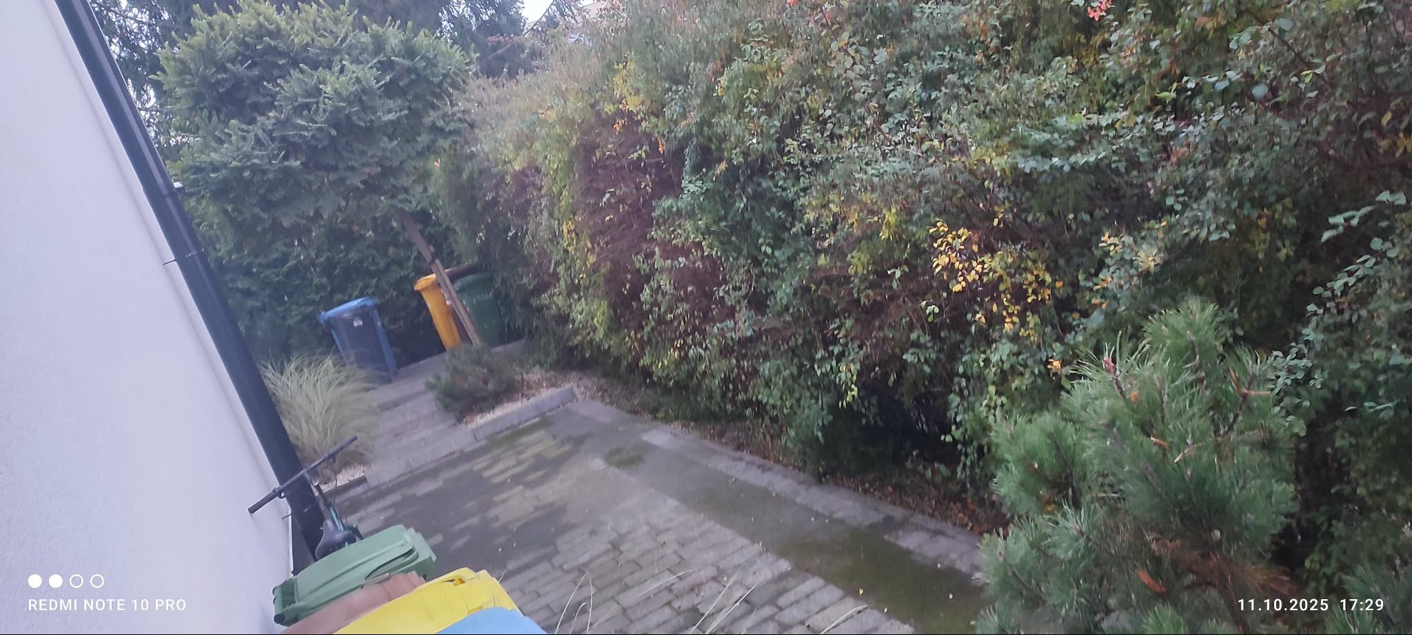 Jesienne liście na krzewach i drzewach w ogrodzie, widoczne pojemniki na śmieci i fragment chodnika z kostki. Ujęcie z boku domu, pochmurna pogoda.