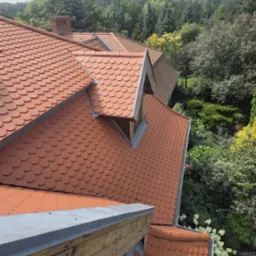 Czerwony dach z dachówki karpiówki, widok z góry. W tle zieleń drzew i krzewów. Dach po czyszczeniu, brak widocznych zabrudzeń i mchu, zadbane otoczenie.