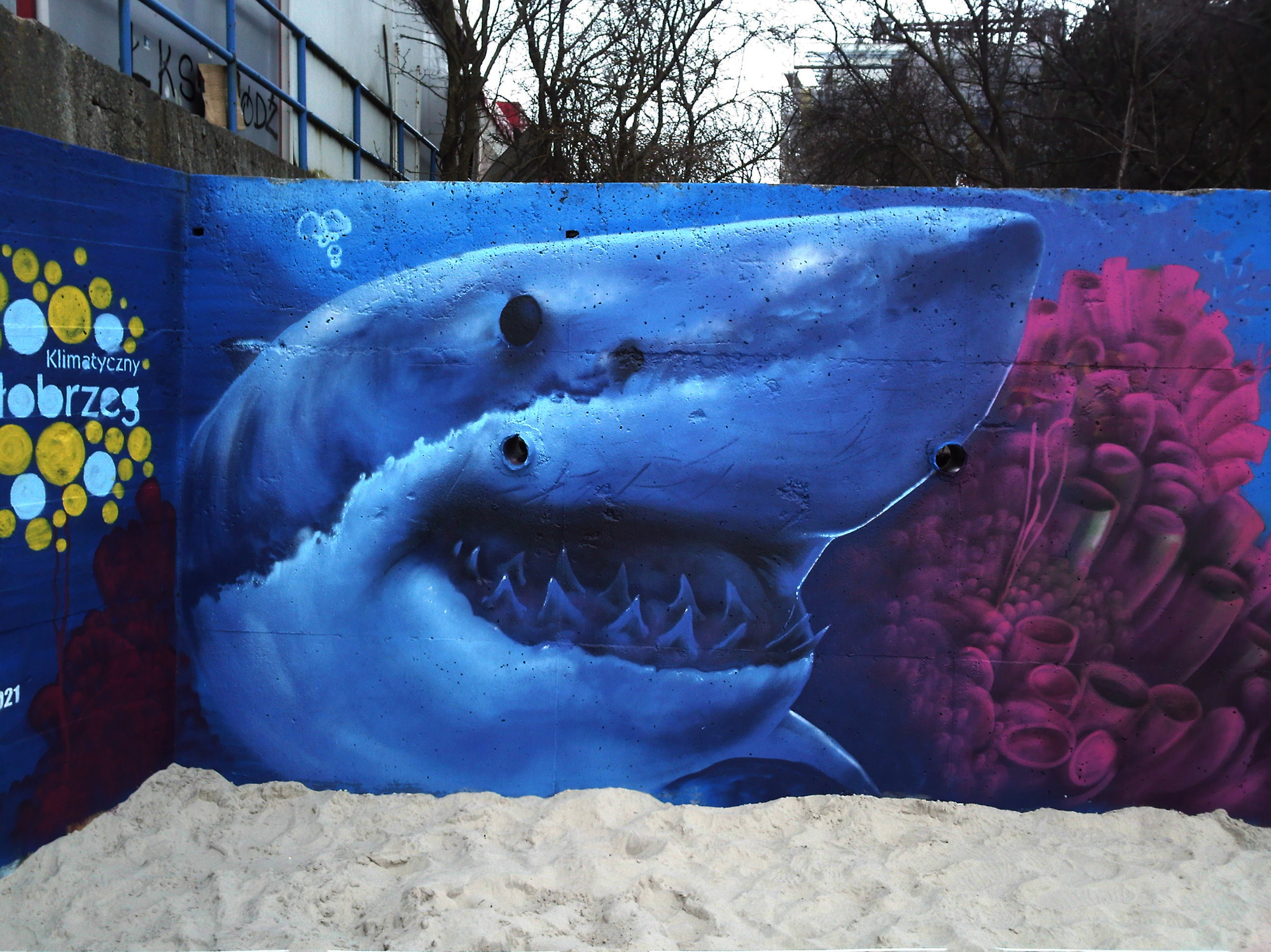 Mural z rekinem na betonowej ścianie, z piaskiem u podstawy. Wyraźne, błękitne odcienie i różowe korale. Widoczne detale zębów rekina.