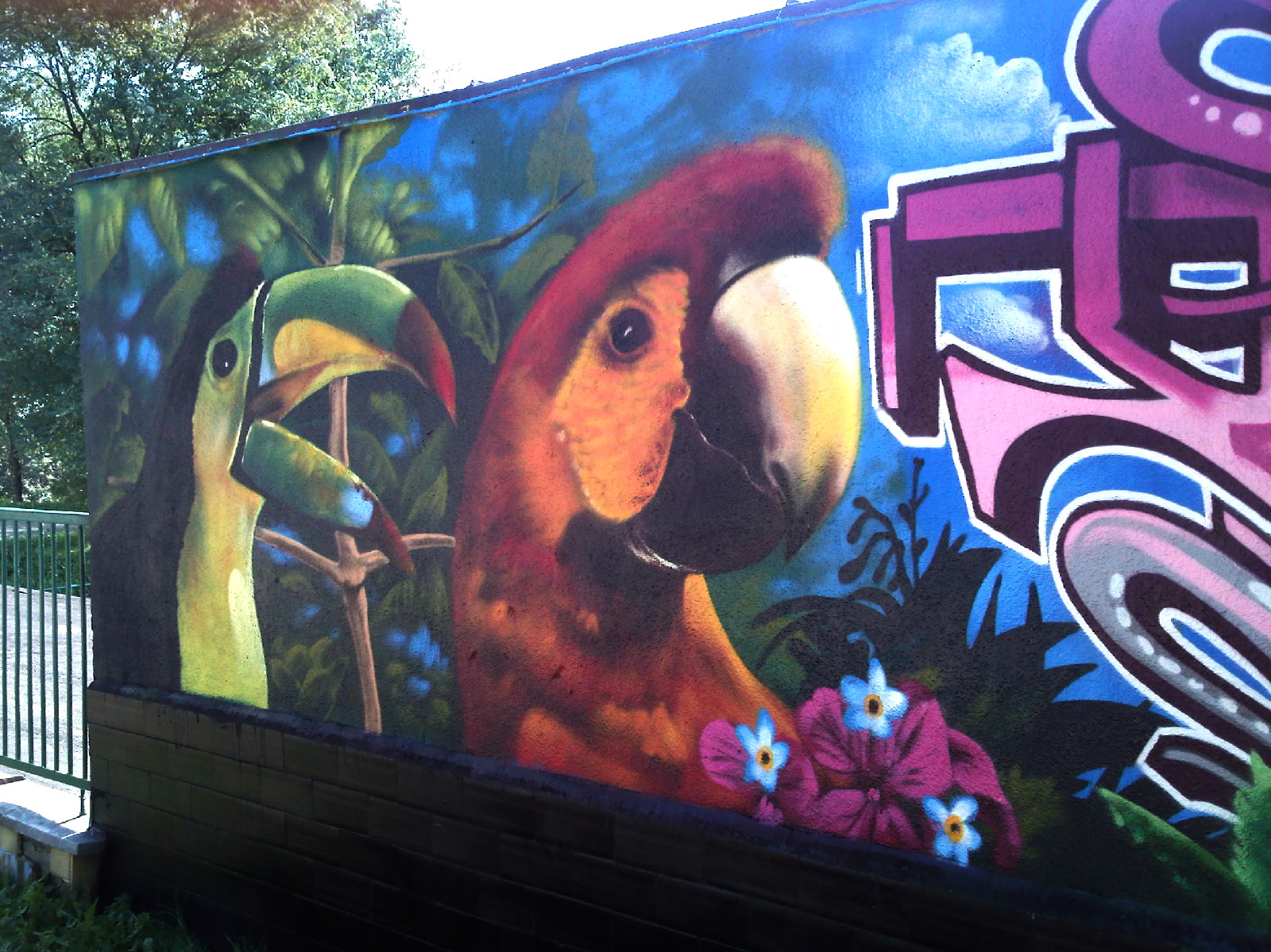 Barwny mural na ścianie: egzotyczne ptaki (tukan i ara) w otoczeniu tropikalnej roślinności, uzupełnione abstrakcyjnym graffiti w odcieniach różu i fioletu.