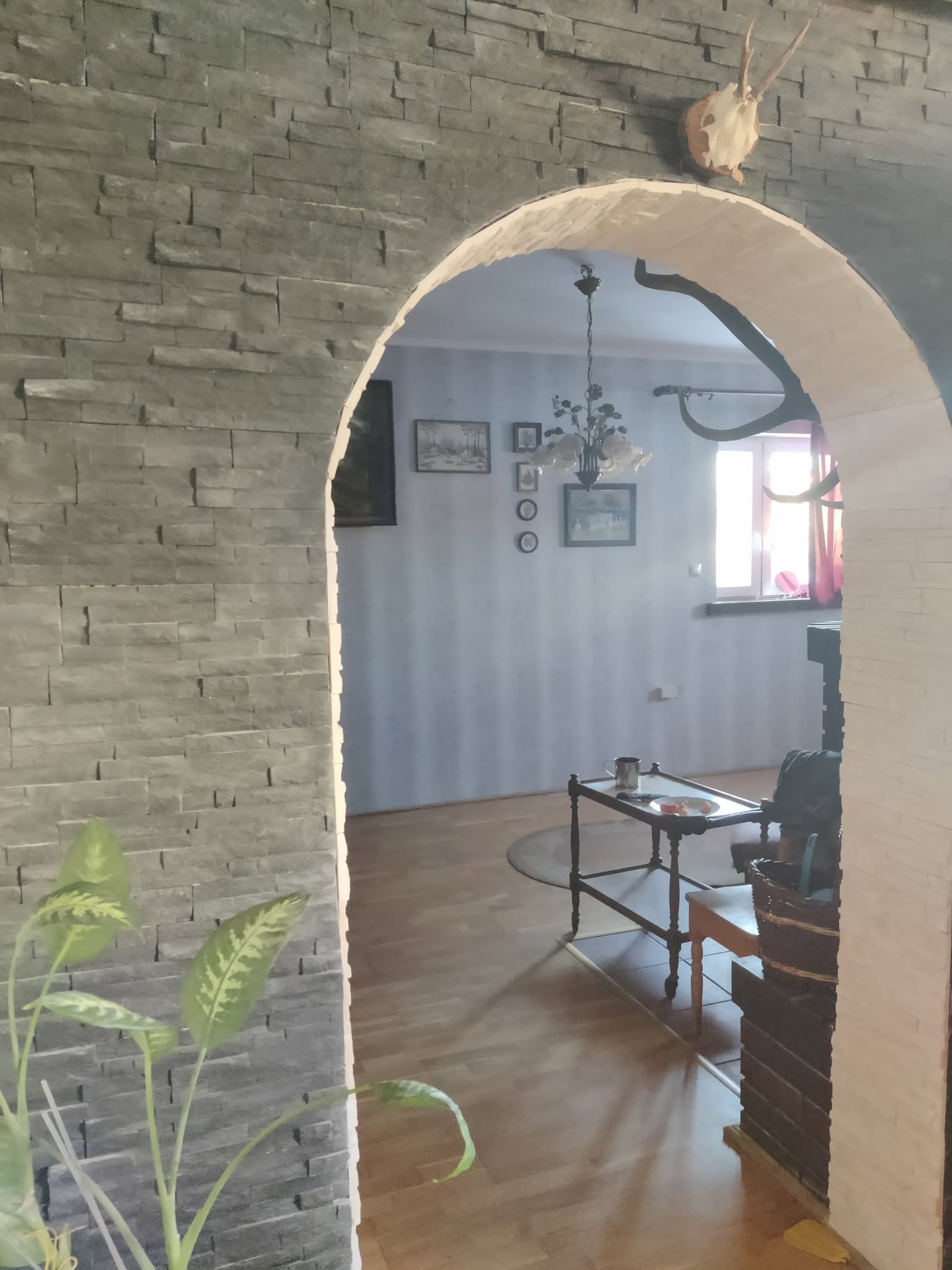 Łuk z szarej cegły prowadzący do salonu z drewnianą podłogą, widoczny fragment rośliny doniczkowej i poroże na ścianie, tworzący unikalny element dekoracyjny.