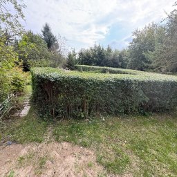 Sprzątanie Gdańsk 1