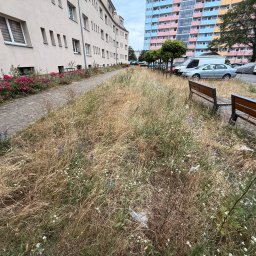 Sprzątanie Gdańsk 3