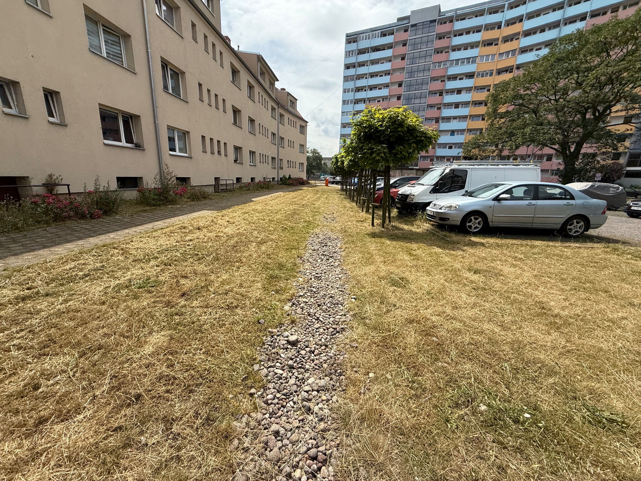 Wyschnięta trawa między budynkami, z pasem kamieni w środku. Zaparkowane auta i drzewa w tle. Dzień słoneczny, lekko pochmurne niebo. Widok z poziomu ziemi.