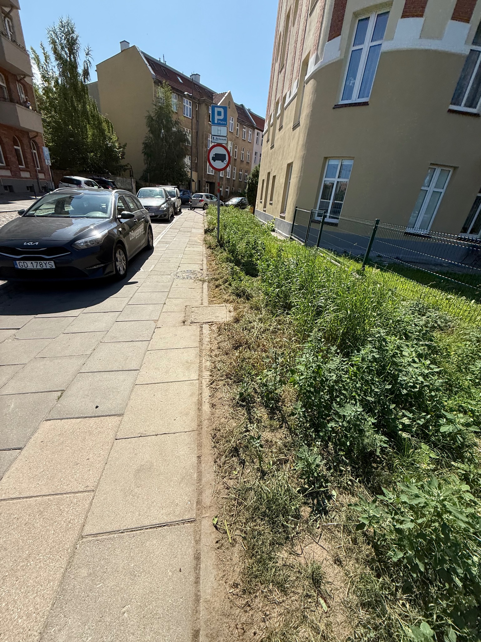 Zarośnięty pas zieleni wzdłuż chodnika z kostki brukowej, widok z poziomu ulicy, zaparkowane auta w tle, znak zakazu wjazdu ciężarówek. Słoneczny dzień.