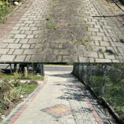 Kostka brukowa przed i po czyszczeniu. Górna część, porośnięta mchem i brudna, kontrastuje z dolną, czystą, z wzorem z kolorowych kostek i cieniem drzewa.