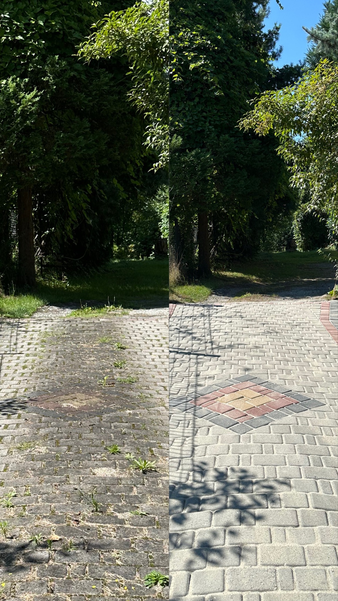 Kostka brukowa przed i po czyszczeniu, z wyraźną różnicą w kolorze i usuniętych zanieczyszczeniach, otoczona zielenią drzew.