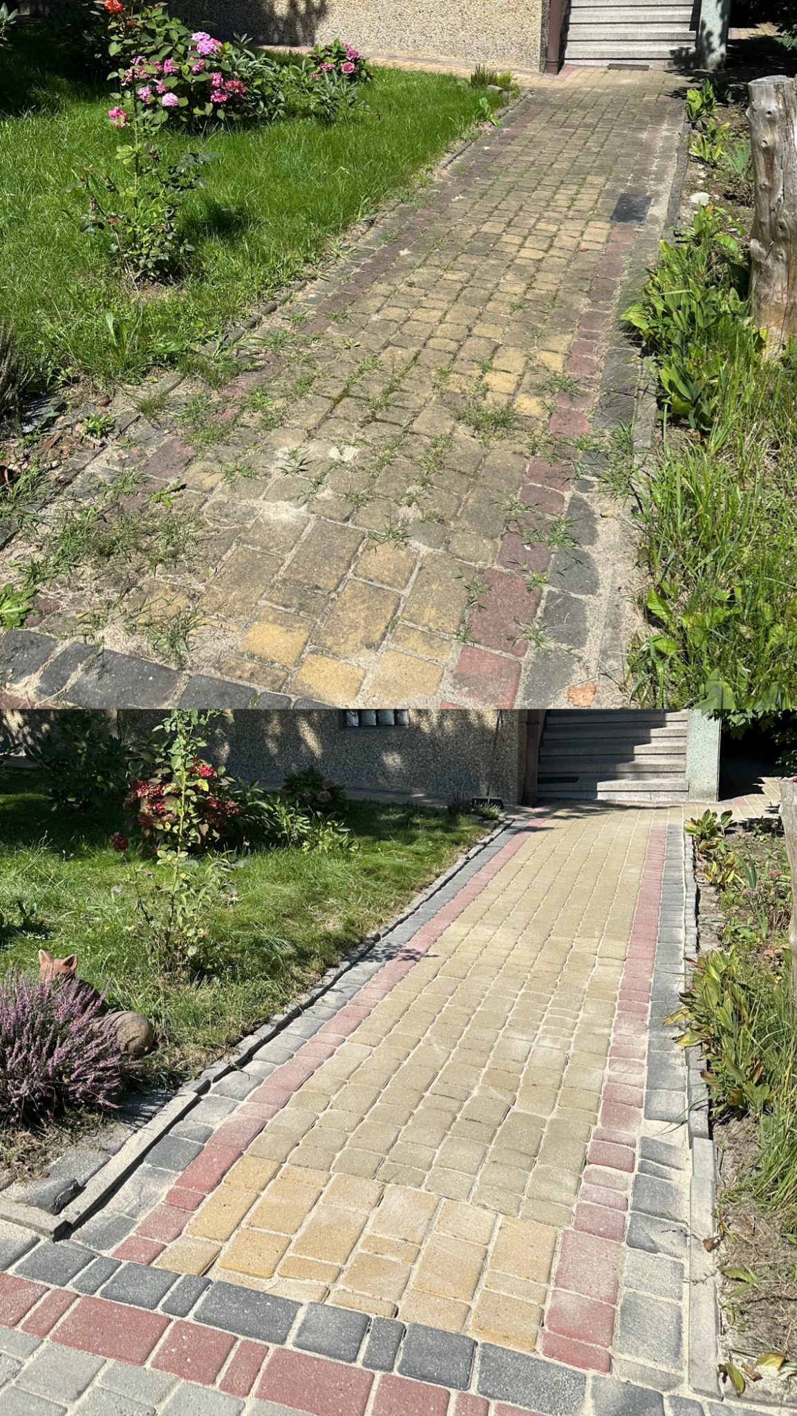 Zdjęcie kostki brukowej przed i po czyszczeniu. Górna część zabrudzona, porośnięta mchem, dolna część wyczyszczona, z widoczną kolorystyką kostki.