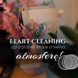 Sprzątanie mieszkań Poznań 4