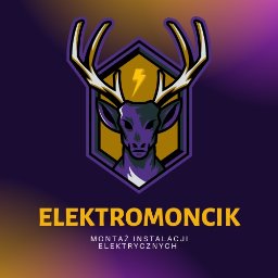 Elektromoncik Montaż Instalacji Elektrycznych - Idealne Domofony z Kamerą Lwówek Śląski
