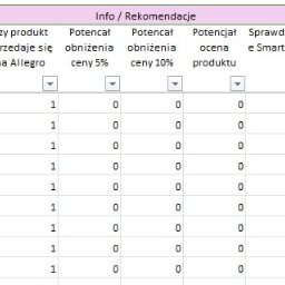 Zowi Wiktor Widła - Tabela z danymi e-commerce, analizująca potencjał obniżek cen i sprzedaż na Allegro, prezentująca wyniki w formie numerycznej.