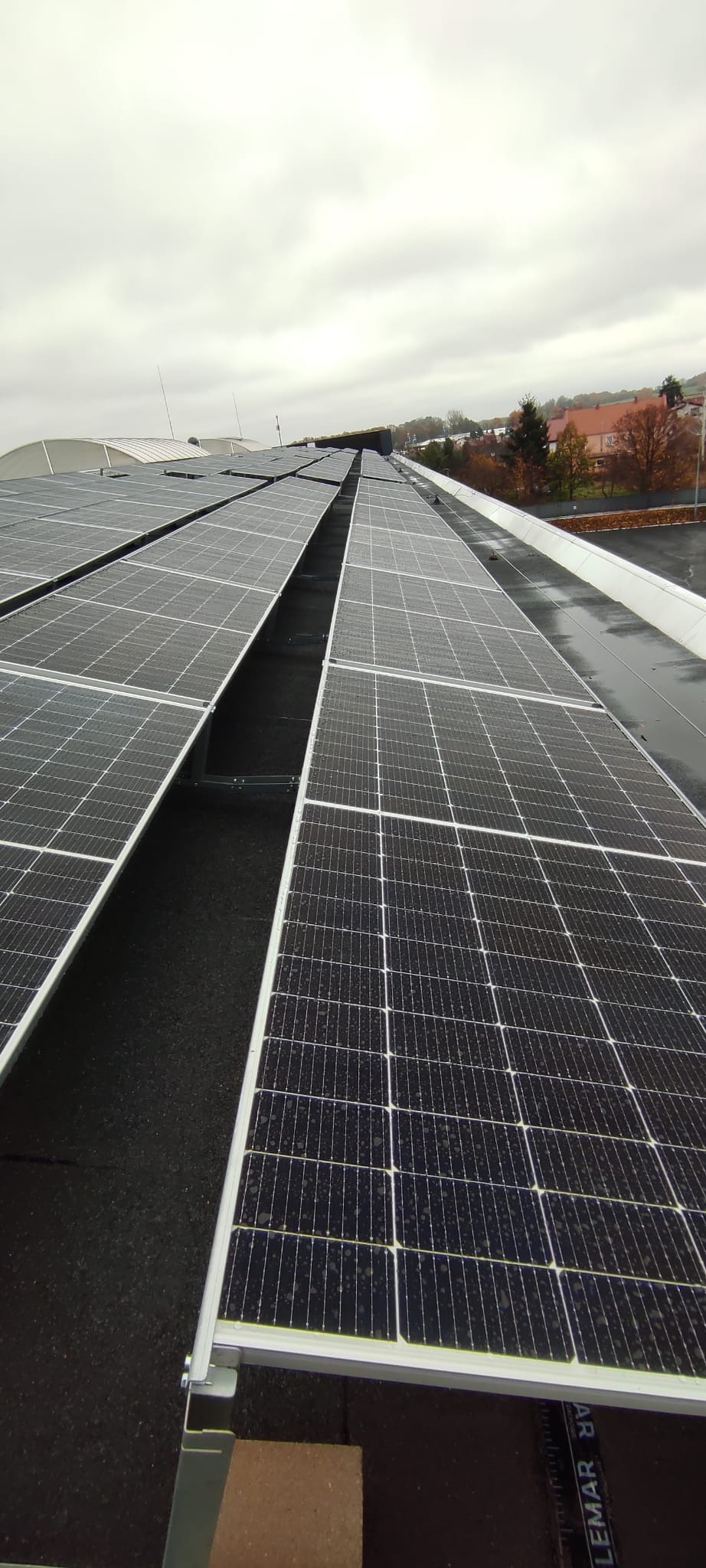 Rząd paneli słonecznych na płaskim dachu budynku w pochmurny dzień. Widoczne moduły fotowoltaiczne z wyraźną strukturą krzemową i metalowymi ramami.