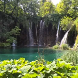 Turkusowe jezioro z kaskadami wodospadów w otoczeniu bujnej zieleni lasu. Liście roślin na pierwszym planie. Słoneczny dzień, malowniczy krajobraz.