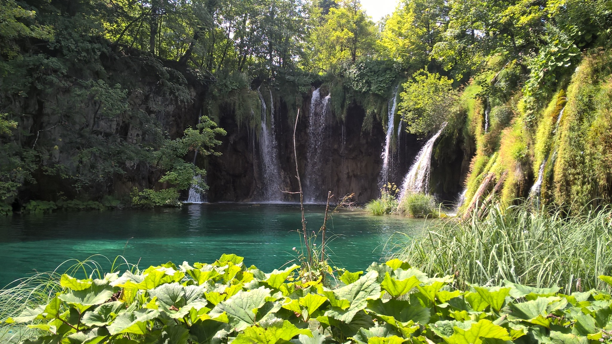 Turkusowe jezioro z kaskadami wodospadów w otoczeniu bujnej zieleni lasu. Liście roślin na pierwszym planie. Słoneczny dzień, malowniczy krajobraz.