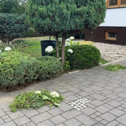 Łukasz - Usługi ogrodnicze - Solidne Nawożenie Roślin w Augustowie