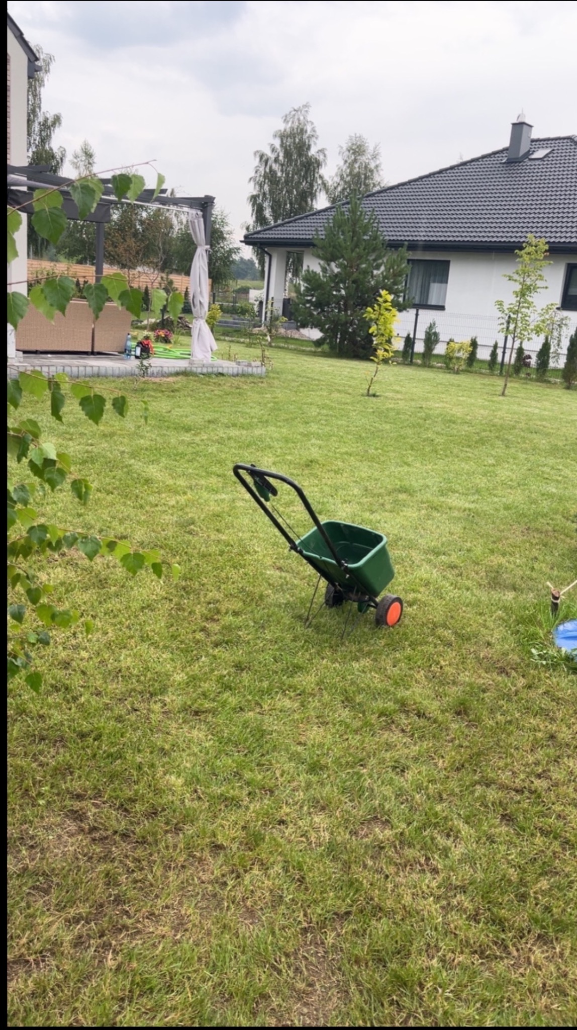Zielony wózek do nawożenia trawnika na tle zadbanego ogrodu z domem. Widoczne drzewa, krzewy i pergola z meblami ogrodowymi. W tle biały dom z ciemnym dachem.