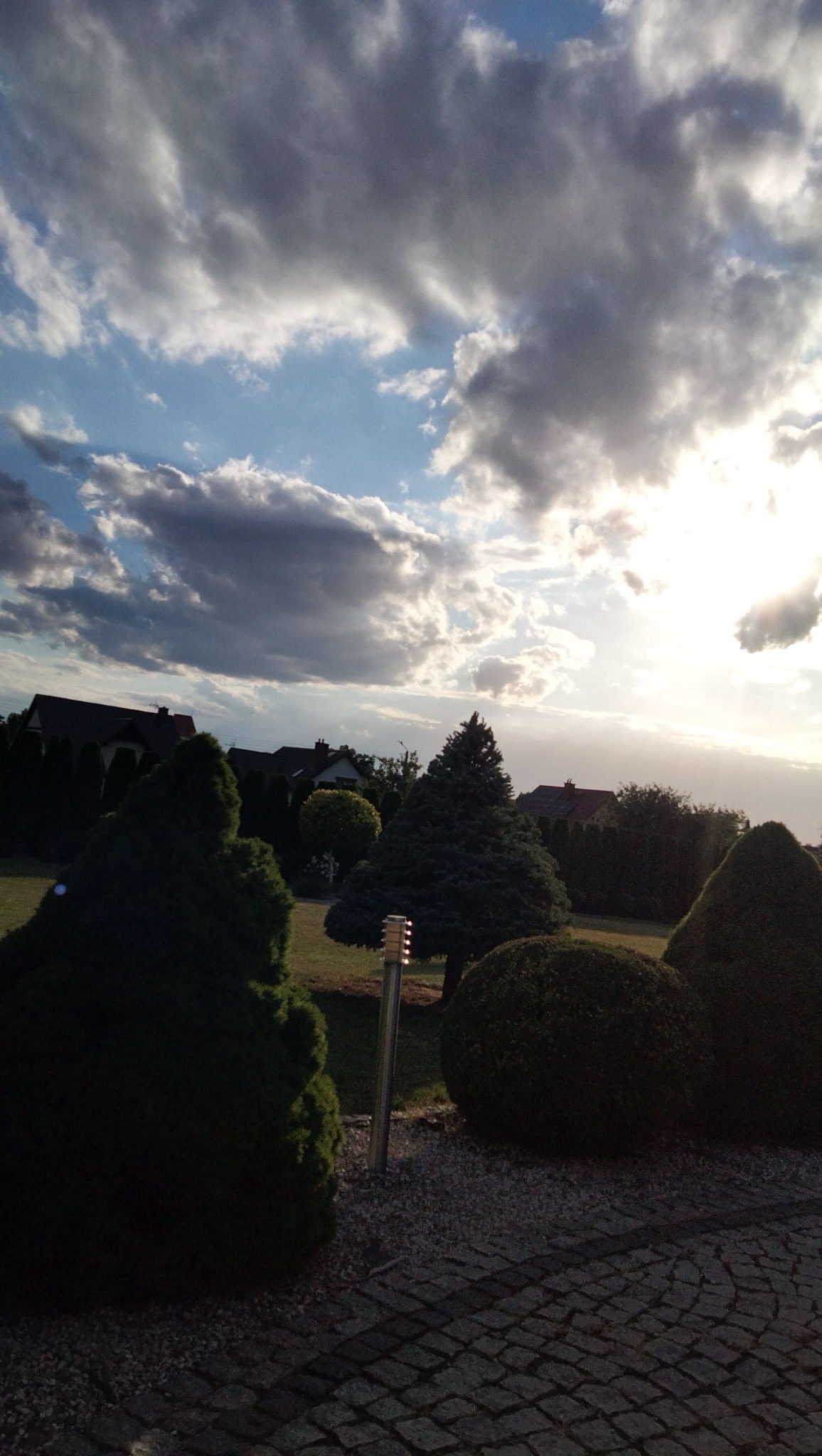 Ogród z formowanymi krzewami i drzewami iglastymi na tle zachmurzonego nieba oświetlonego promieniami słońca. Widoczna kostka brukowa i oświetlenie ogrodowe.