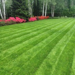 Systemy nawadniania Warszawa 1