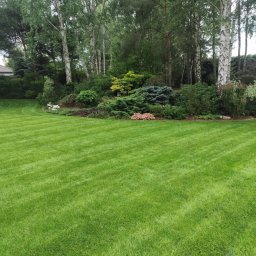 Systemy nawadniania Warszawa 4