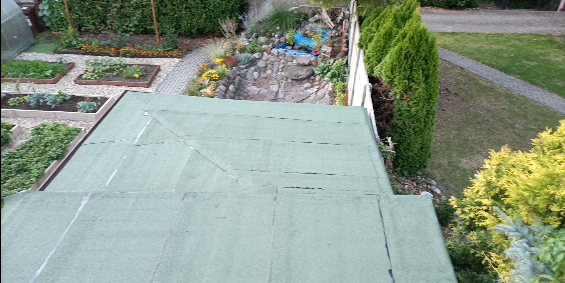 Zielony dach budynku z ogrodem w tle, widok z góry. Dach pokryty papą, widoczne połączenia. W tle ogród z warzywnikiem i skalniakiem.