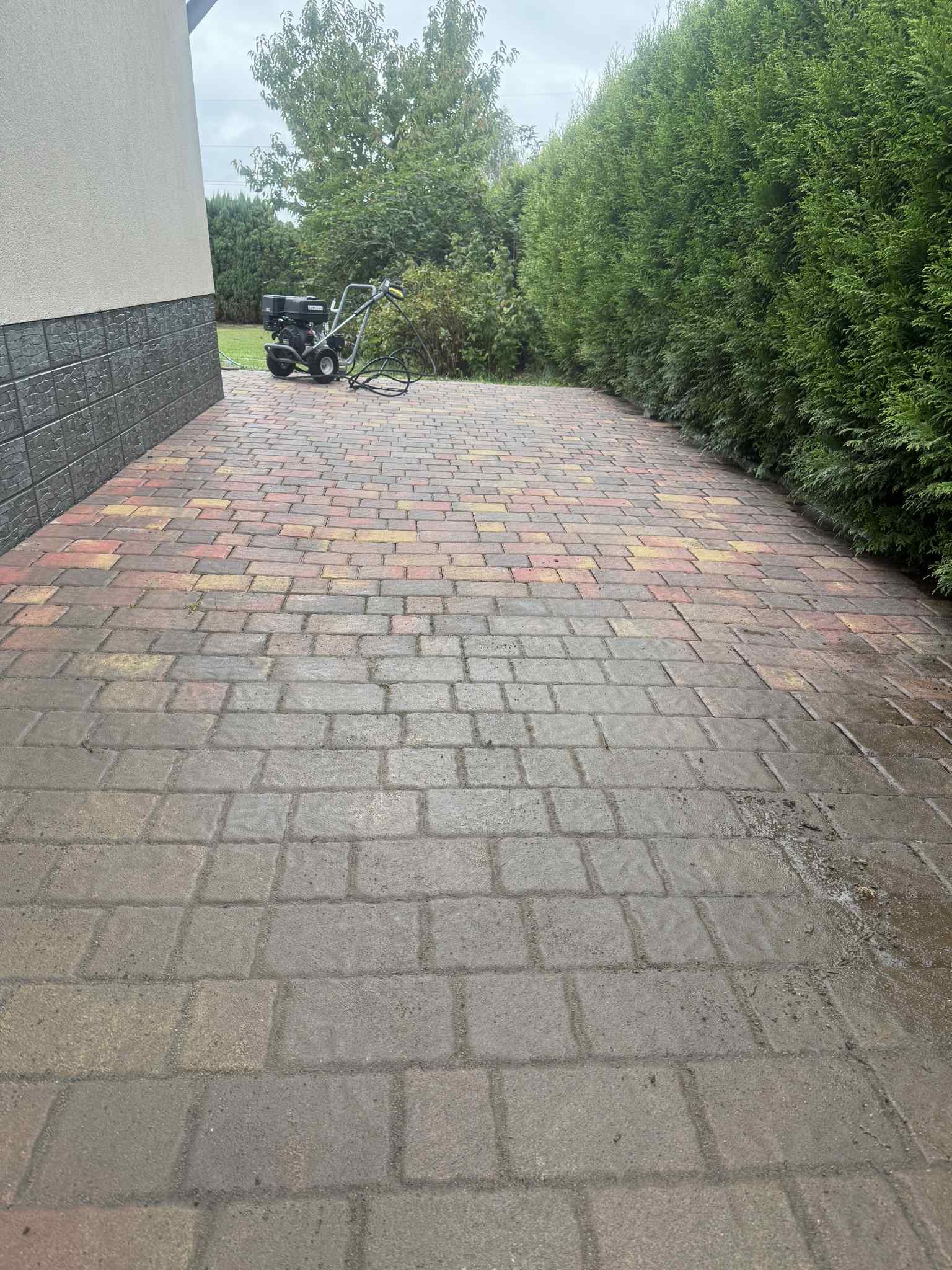 Częściowo oczyszczona, wielobarwna kostka brukowa na posesji, z widoczną myjką ciśnieniową, żywopłotem i fragmentem budynku. Widoczna różnica w czystości.