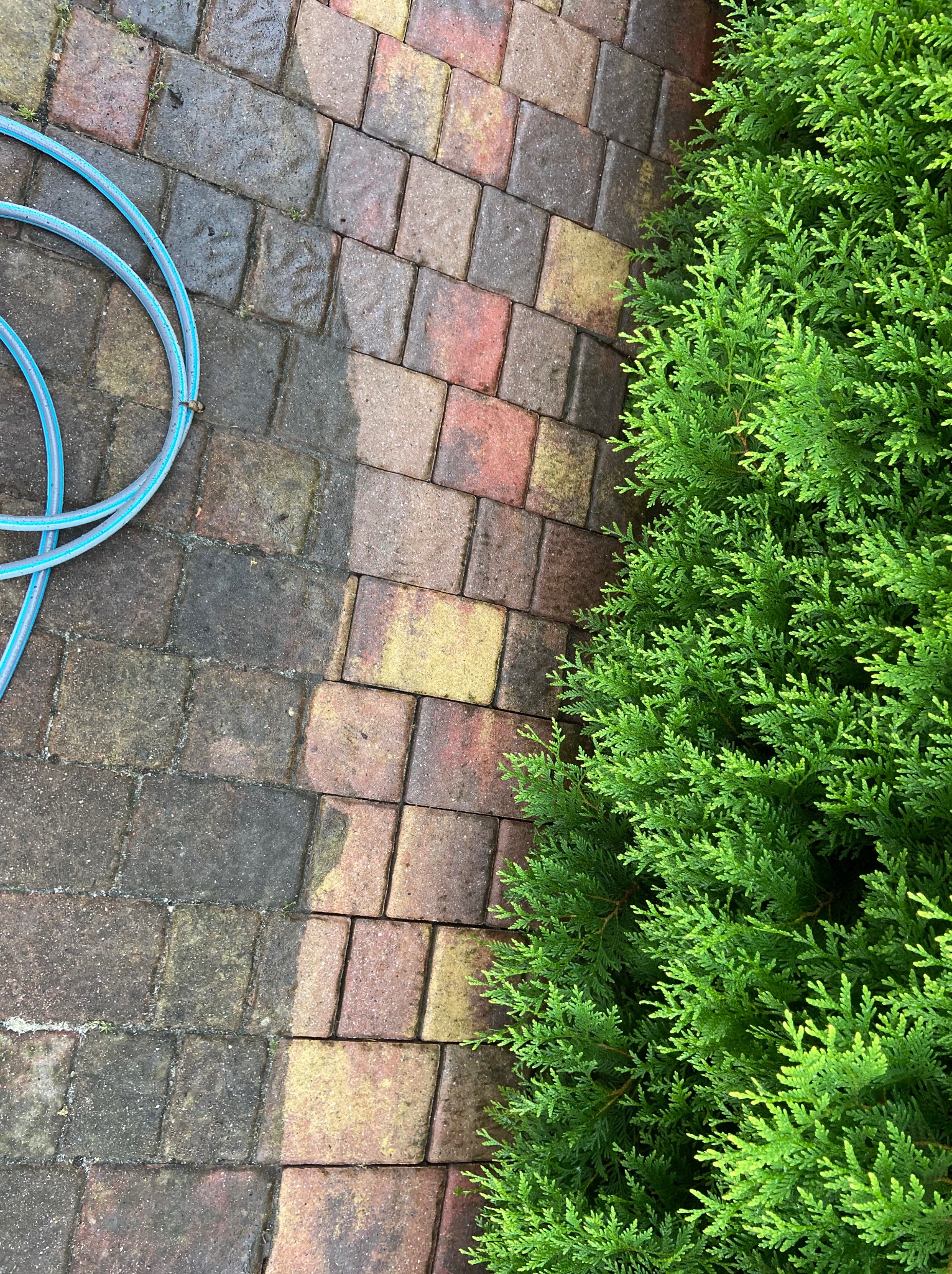 Częściowo umyta kostka brukowa z niebieskim wężem i zielonym żywopłotem. Widoczna różnica w czystości kostki brukowej.