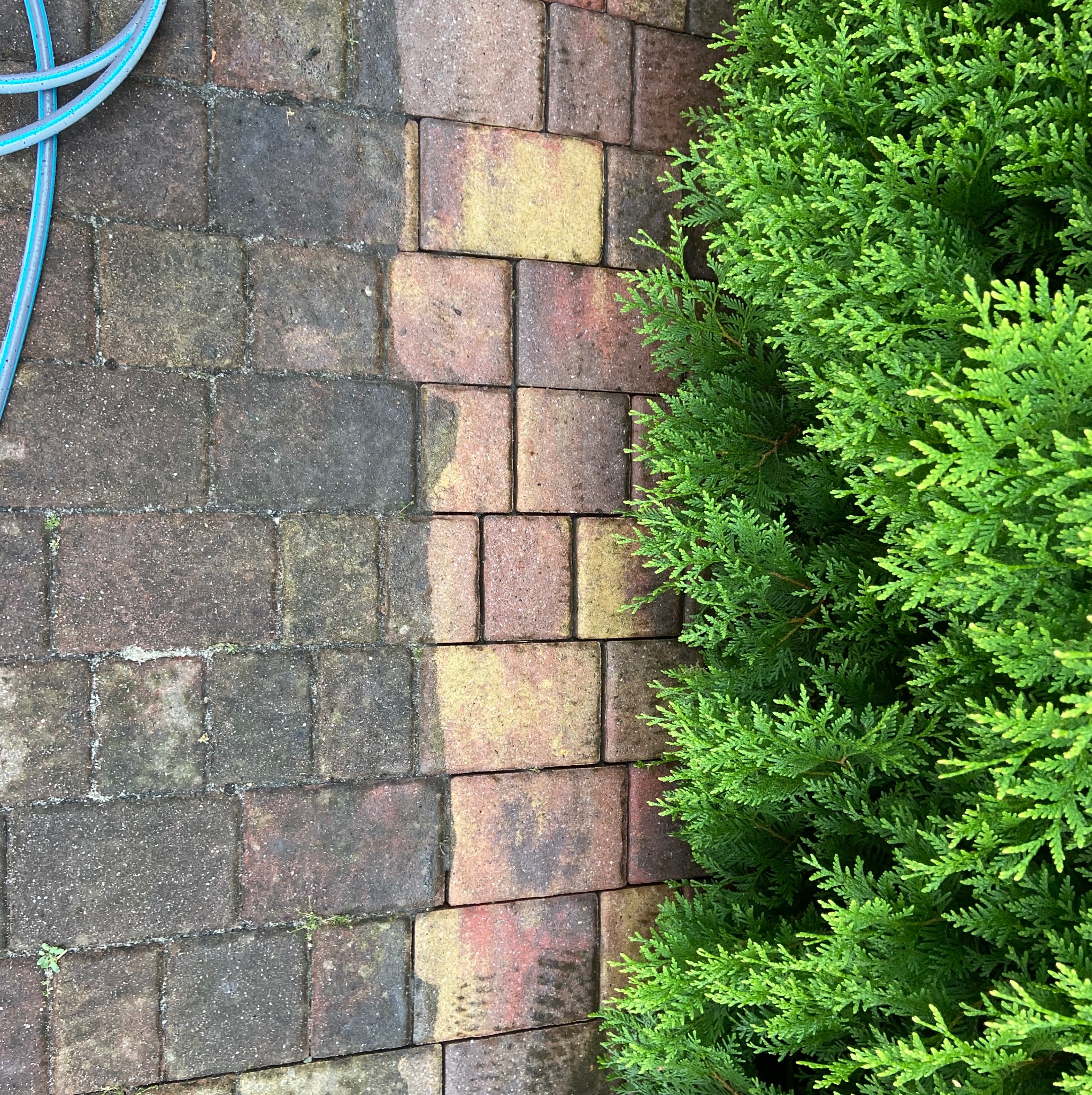 Częściowo wyczyszczona kostka brukowa z zielonymi roślinami obok i fragmentem węża ogrodowego w rogu. Widok z góry, ukazujący różnicę w czystości.