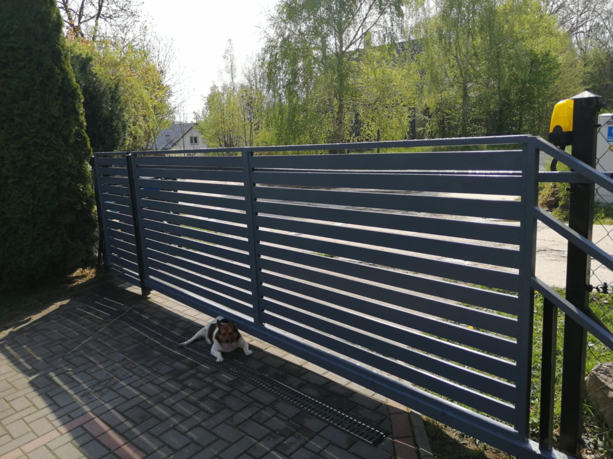 Nowoczesna, przesuwna brama posesyjna w kolorze grafitowym z automatyką. Na pierwszym planie leży pies rasy Jack Russell Terrier. W tle zieleń drzew i fragment domu.