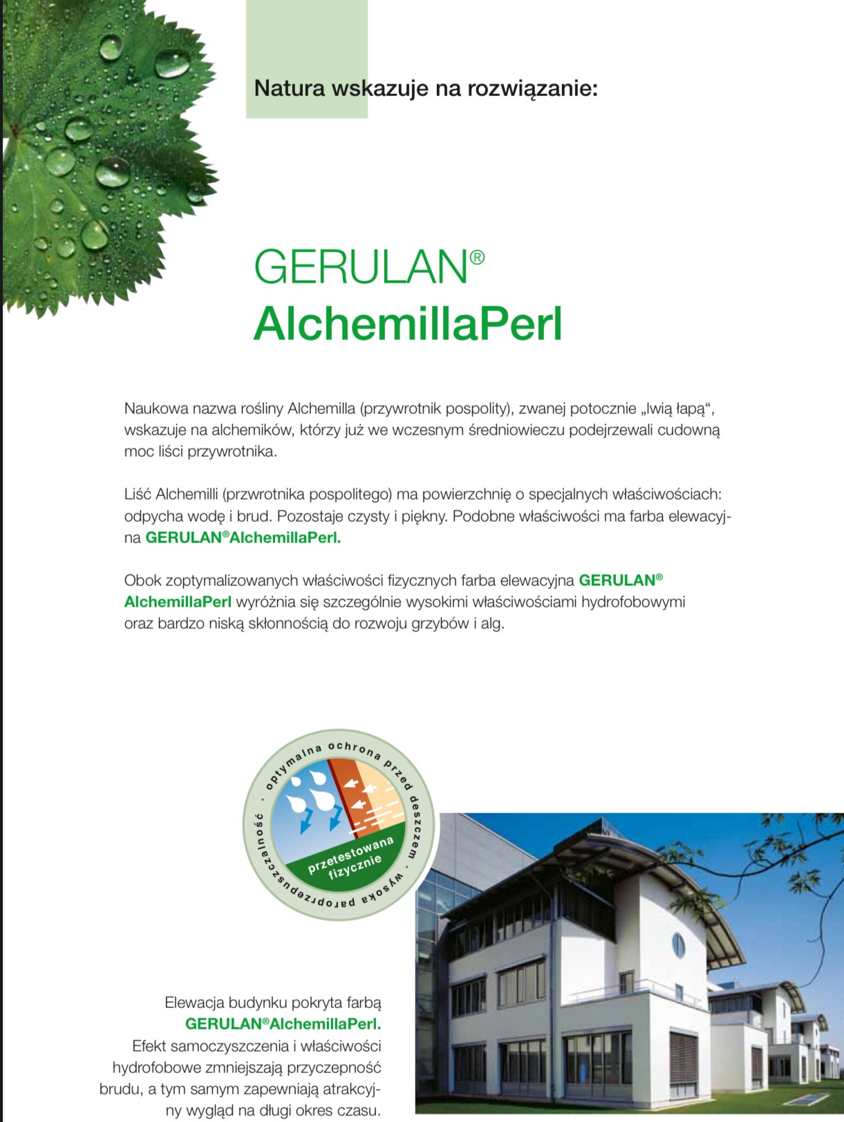 Elewacja budynku pomalowana farbą hydrofobową Gerulan Alchemilla Perl, zapewniającą długotrwałą czystość i ochronę przed grzybami oraz algami.