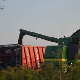 Kamerzysta Szreniawa 3