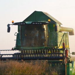 Kamerzysta Szreniawa 2