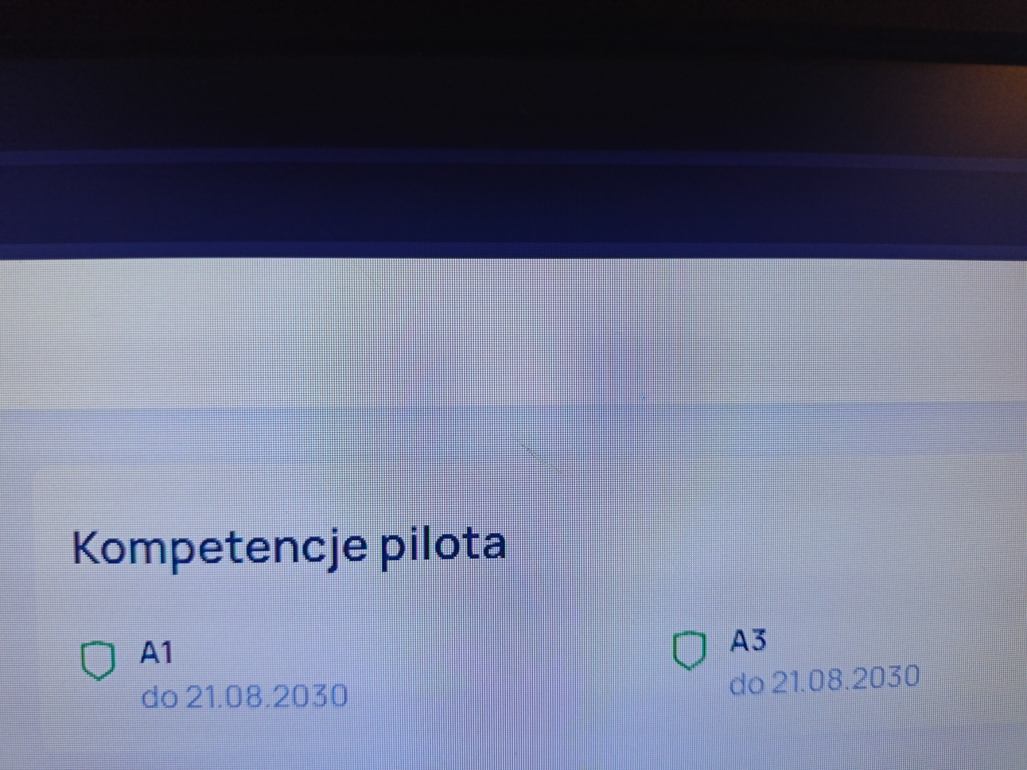 Zdjęcie przedstawia moje kompetencje pilota