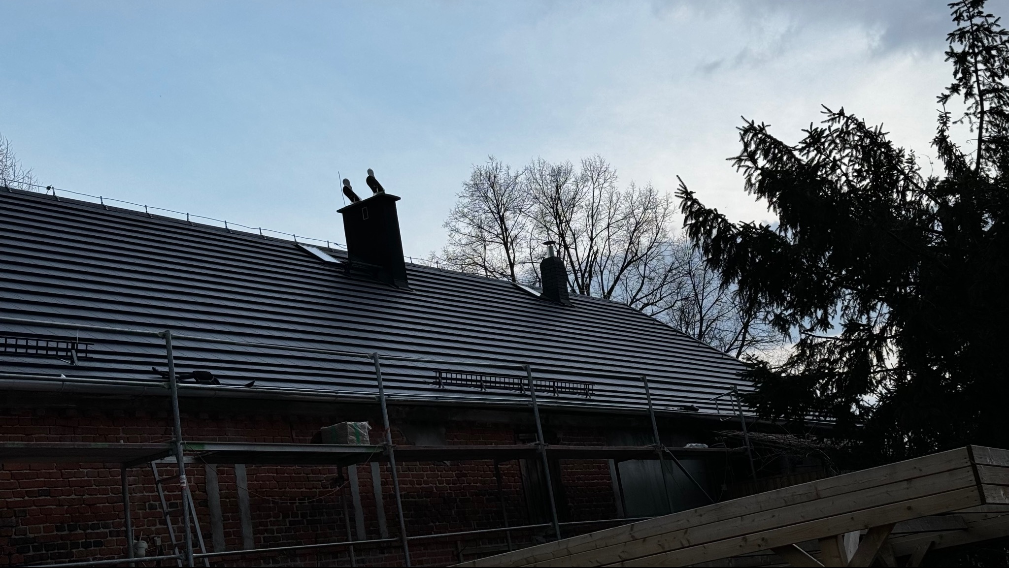 Ciemna dachówka ceramiczna na dachu domu z cegły, widoczne kominy i rusztowanie. Ujęcie z dołu, na tle nieba i drzew.