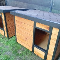 BERWOOD Jarosław Chwasta - Dwie drewniane budy dla psów z czarnymi obramowaniami, ustawione na trawie przed siatką ogrodzeniową. Budy mają spadziste dachy pokryte papą.