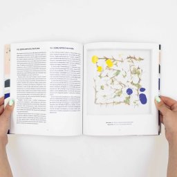 Ewa Pietruszko - Katalog wystawy „Życie i Forma” z grafiką na okładce przedstawiającą kompozycję z gałązek i niebieskich plam, trzymany przez osobę na tle białej ściany.