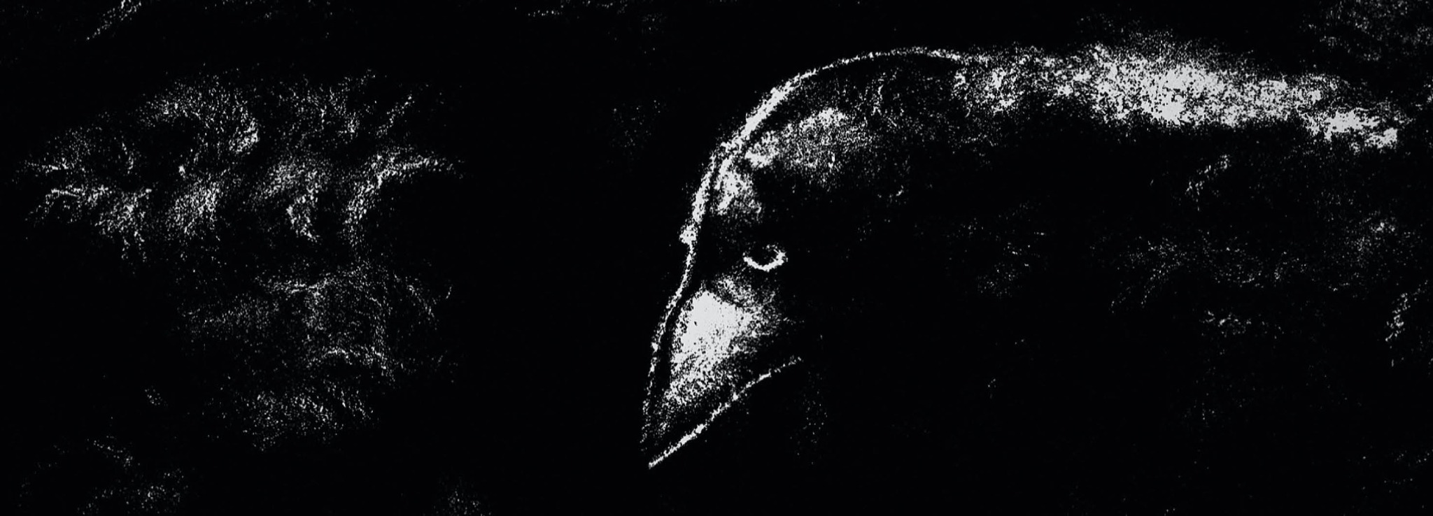 Abstrakcyjna grafika kruka w czerni i bieli, przypominająca rysunek kredą na tablicy, z wyraźnie zaznaczonym okiem i dziobem, na ciemnym tle.