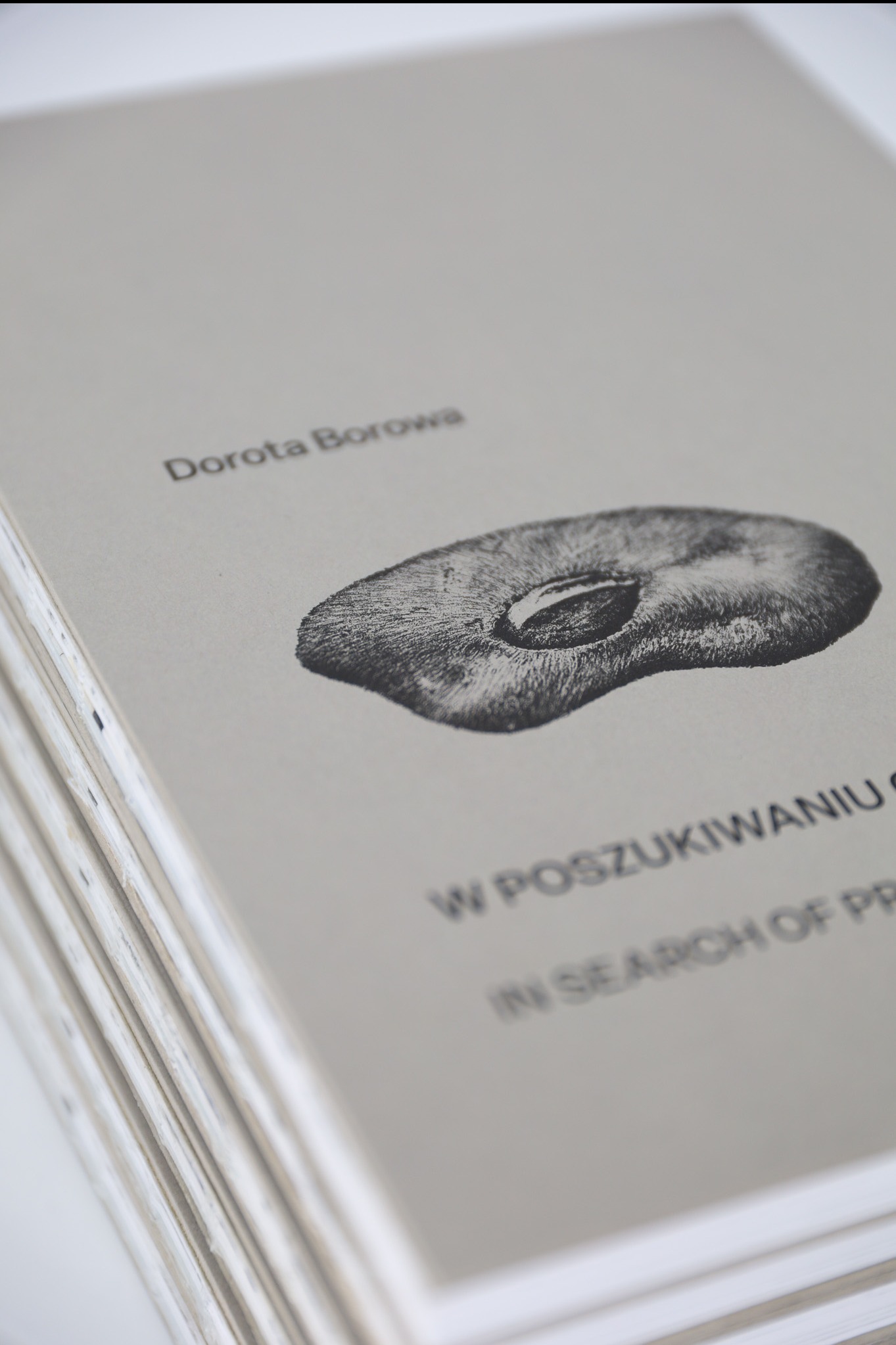 Stos szarych okładek książek z czarnym nadrukiem: imię autora, grafika przypominająca przekrój nasiona, tytuł w języku polskim i angielskim.