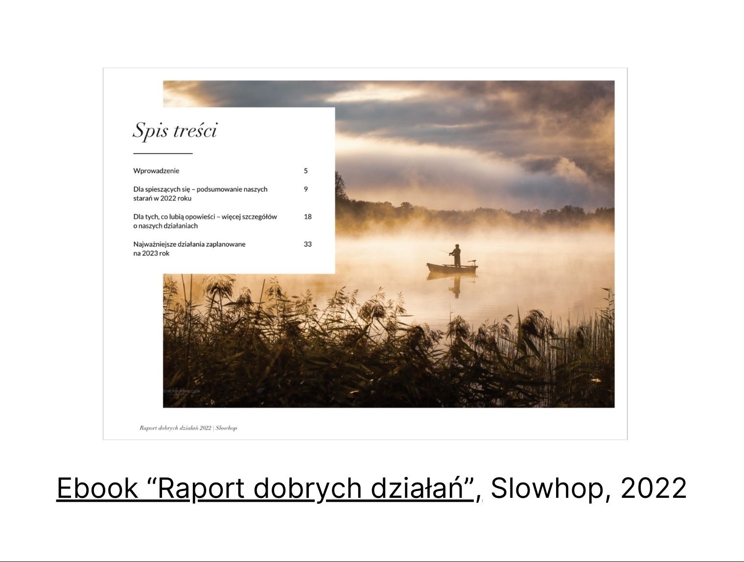 Ebook „Raport dobrych działań” przygotowany dla firmy Slowhop.
