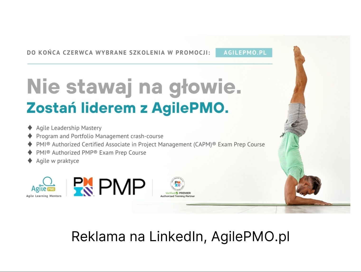 Reklamy na SM dla firmy AgilePMO.