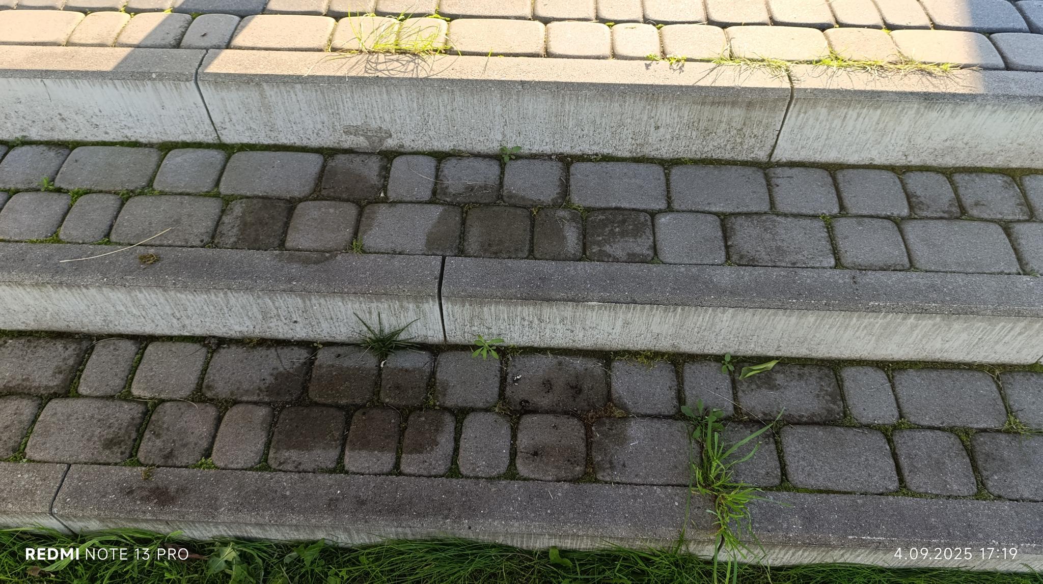 Schody z kostki brukowej z porostem mchu i trawy w szczelinach, częściowo zacienione, w słoneczny dzień. Widoczne ślady wilgoci na kostce.