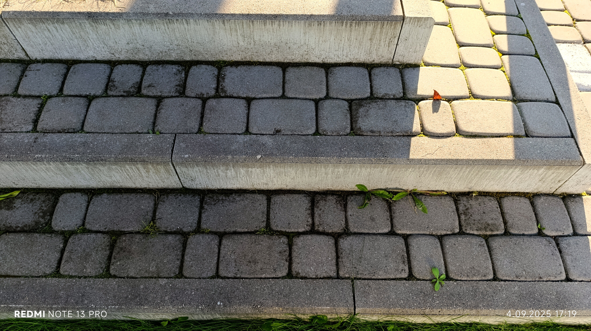 Schody z kostki brukowej w odcieniach szarości, z delikatnym oświetleniem słonecznym i pojedynczym, pomarańczowym liściem na powierzchni. Widoczne drobne chwasty w spoinach.