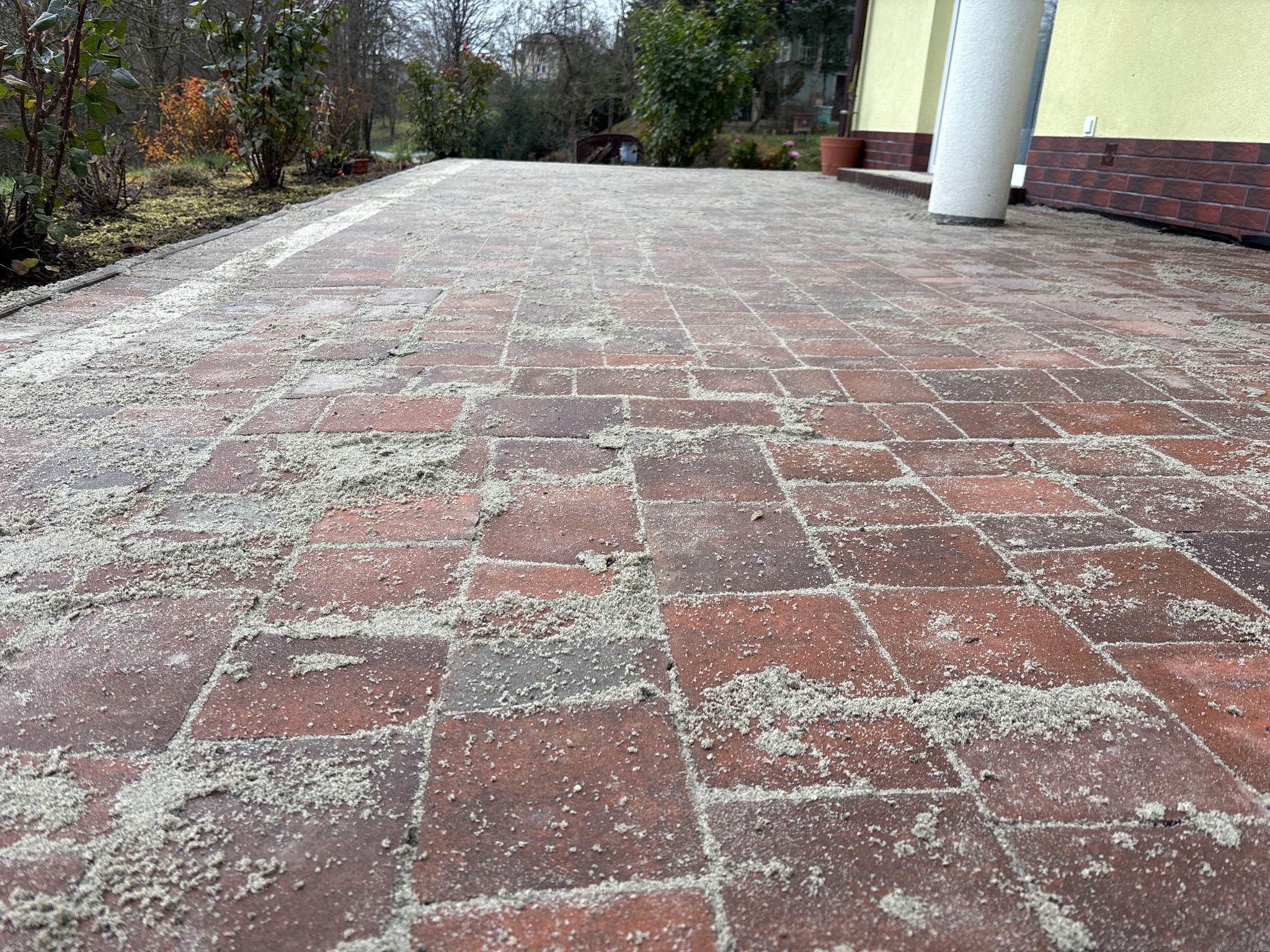 Czerwona kostka brukowa z piaskiem na powierzchni, widok z perspektywy chodnika, fragment budynku w tle, zieleń po bokach. Kostka przygotowana do czyszczenia.